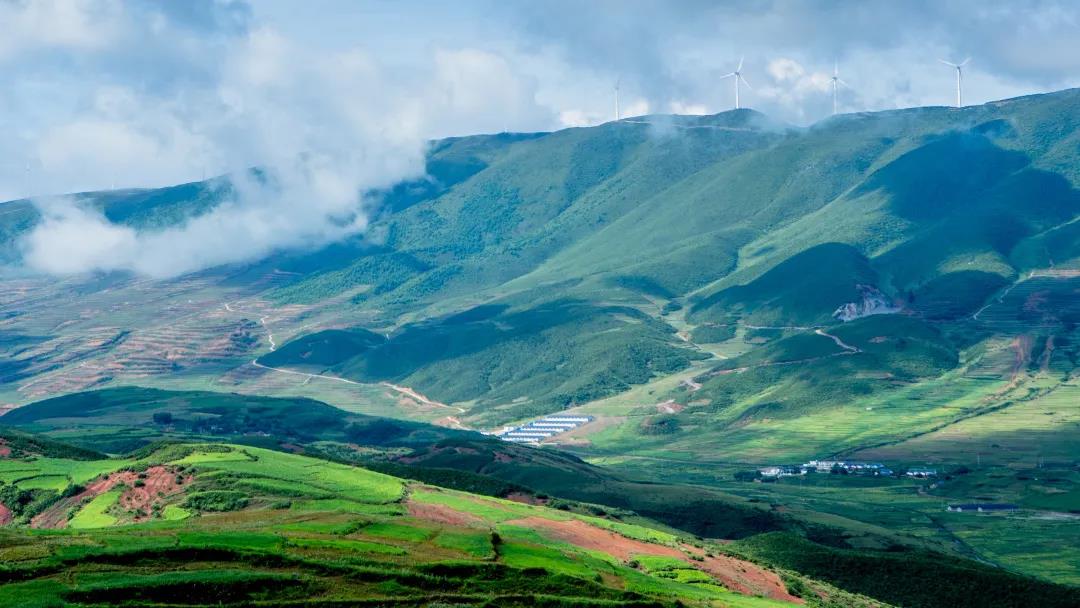 兩會時間 | 新希望集團、永好鄉村振興公益基金會聯...